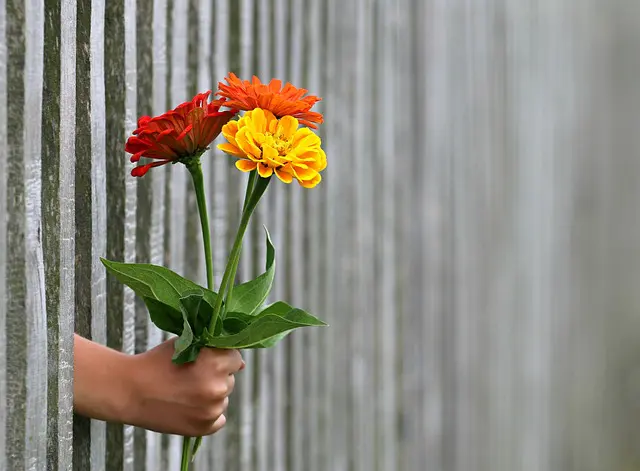 Blumen verschenken Blumen gehen immer